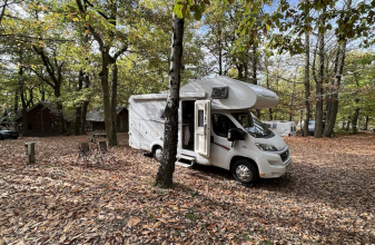 FIAT DETHLEFFS TREND image