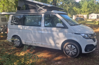  WESTFALIA CLUB JOKER CITY image